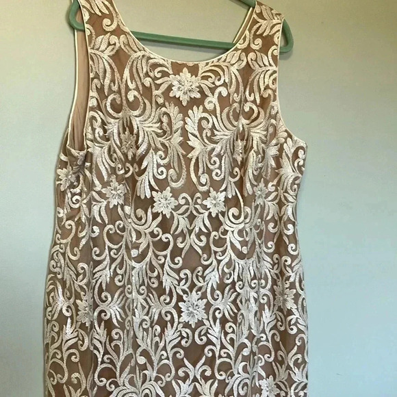 Adriana Papell lace  nude dress - Picture 2 of 5